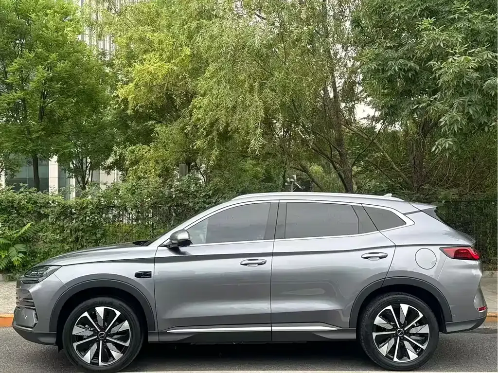 BYD PLUS New Energy — фото 10