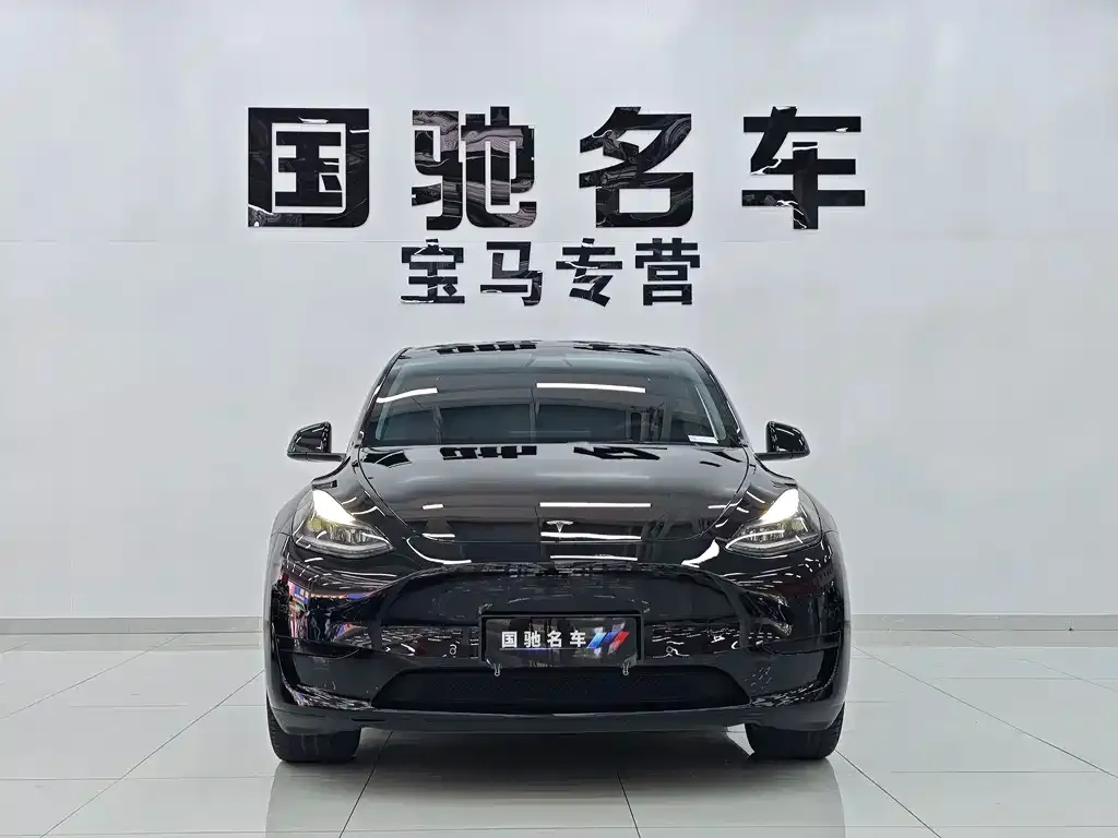 Tesla Model Y — фото 2