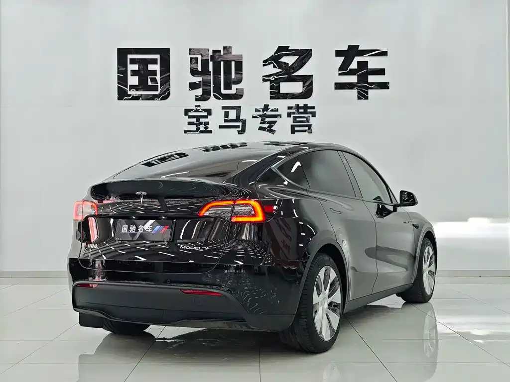Tesla Model Y — фото 3