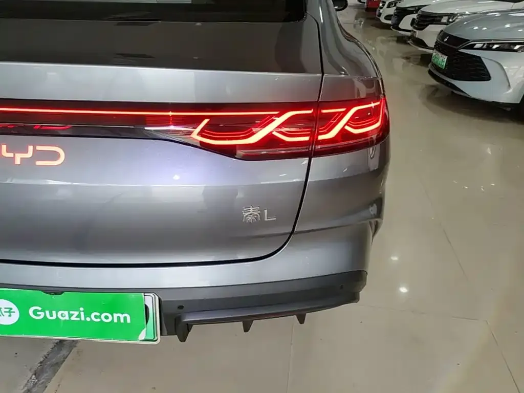 BYD Qin L 2024 из CN, фото 2