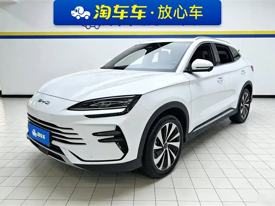 BYD PLUS New Energy — фото 1