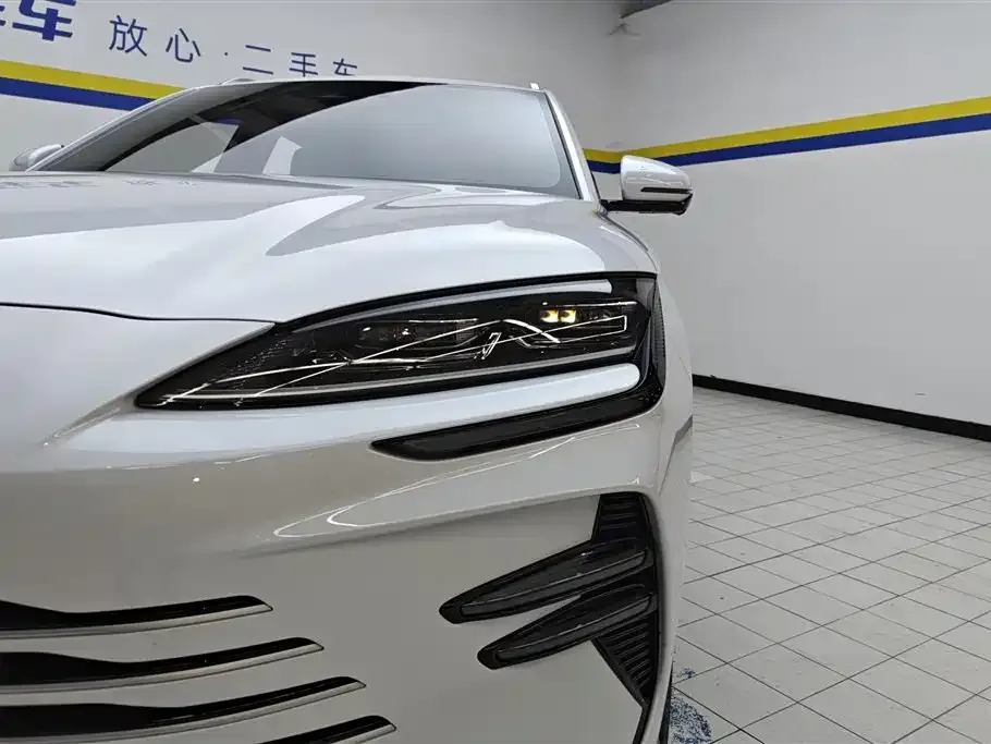 BYD PLUS New Energy — фото 9