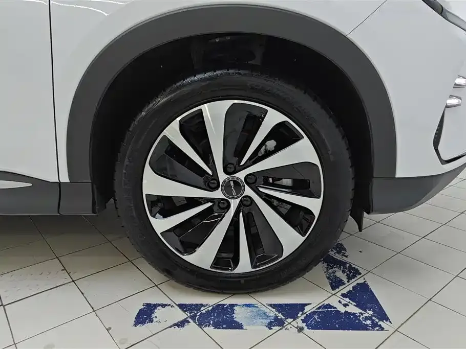 BYD PLUS New Energy — фото 5