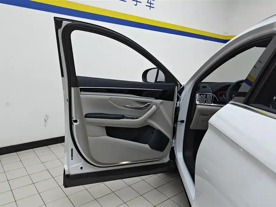 BYD PLUS New Energy — фото 6