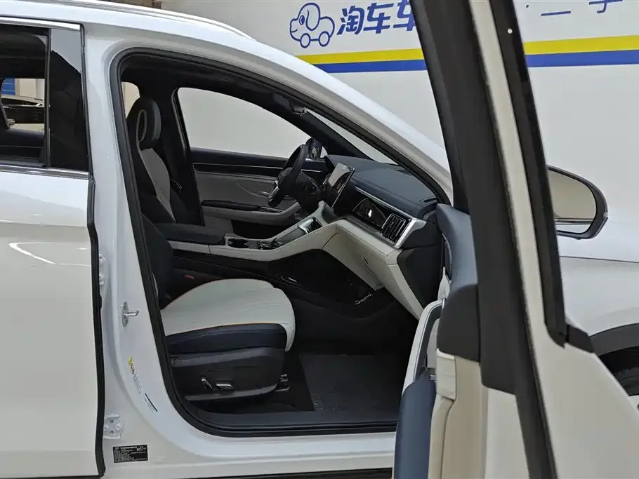 BYD PLUS New Energy — фото 3