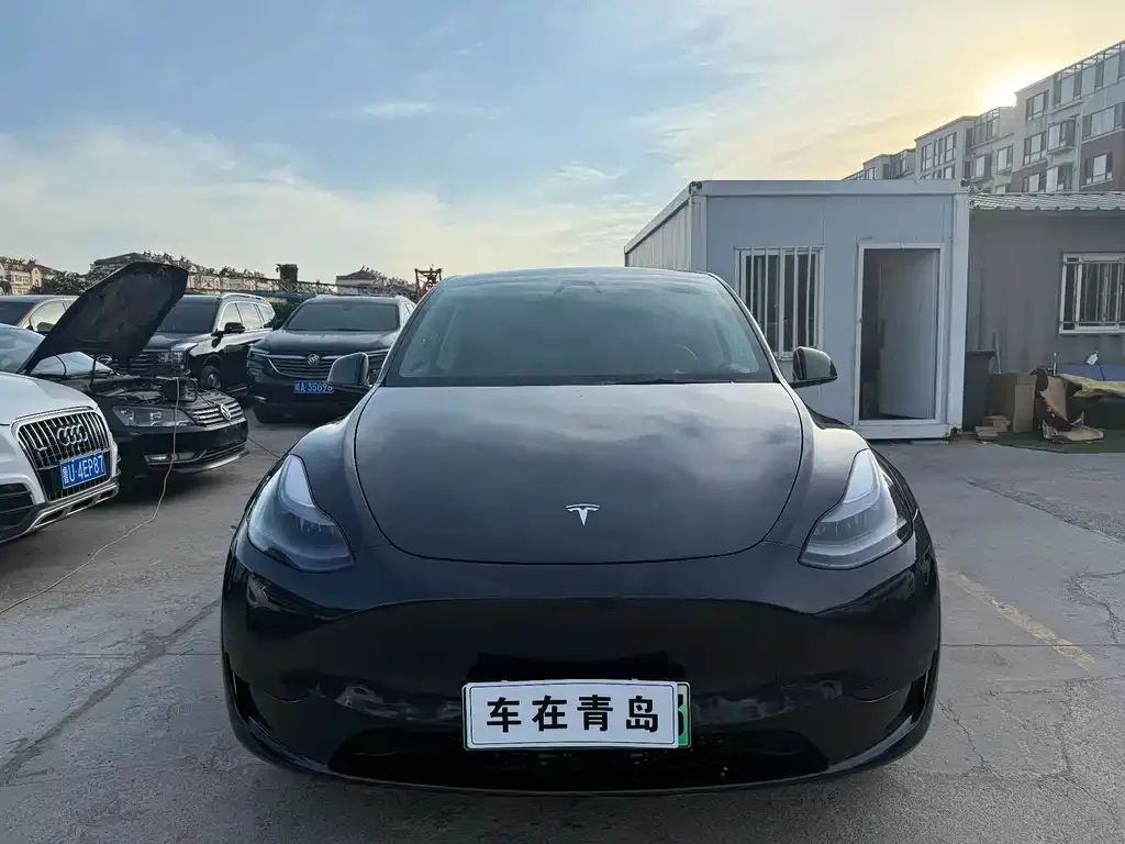 Tesla Model Y — фото 2