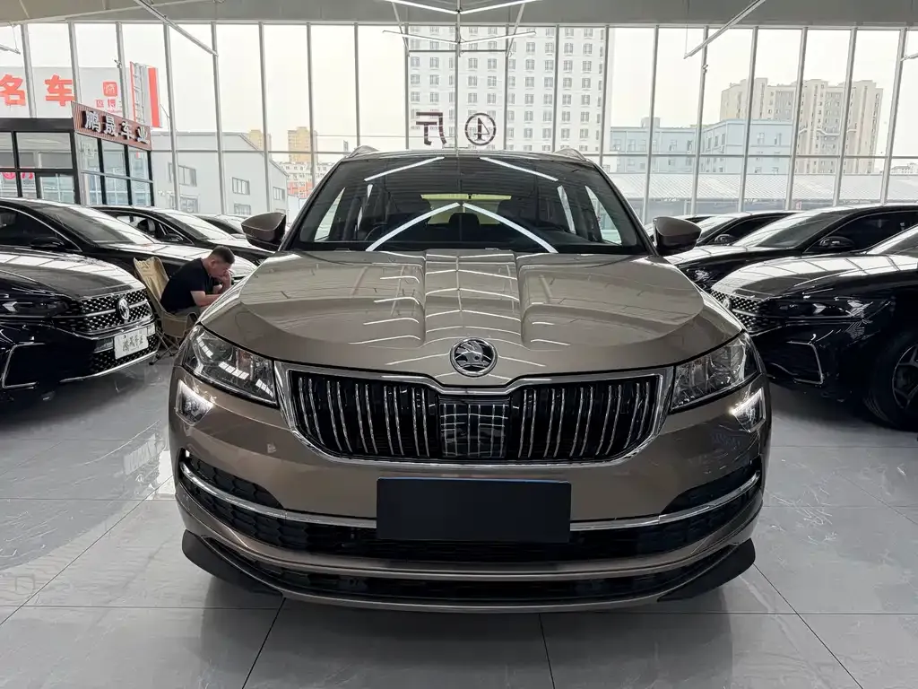Skoda Karoq — фото 10