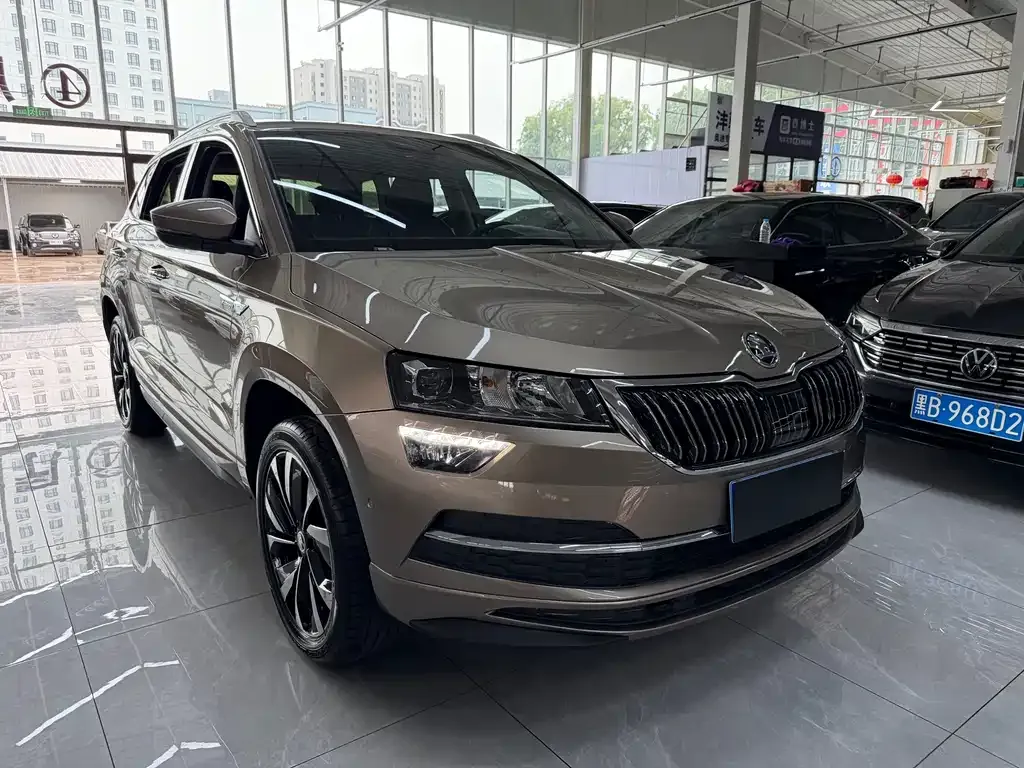 Skoda Karoq — фото 7