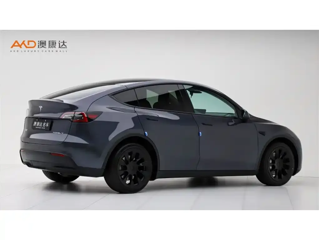 Tesla Model Y — фото 5
