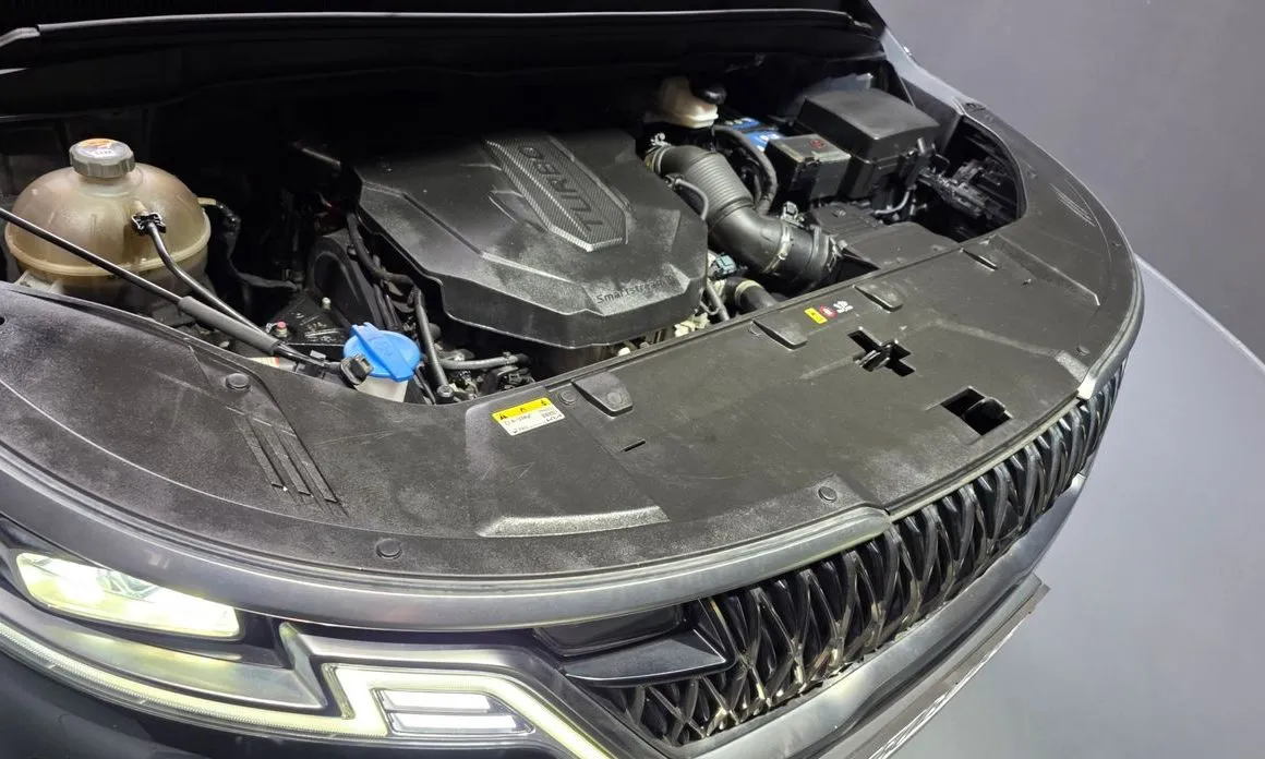 Kia Carnival — фото 10