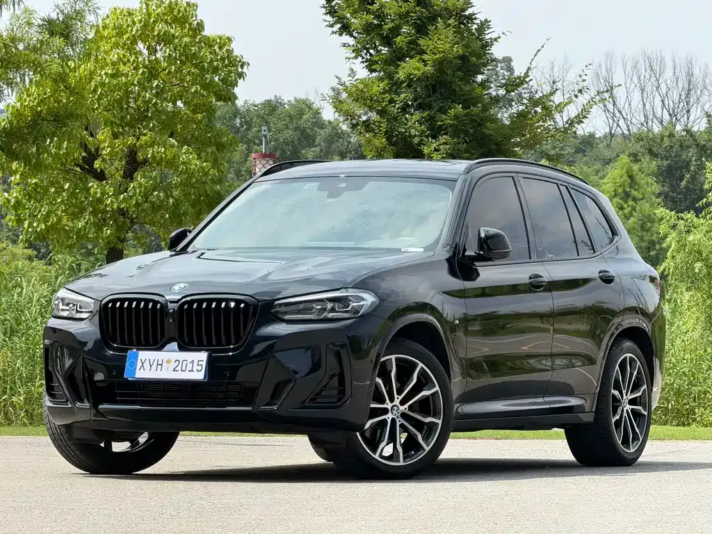 BMW X3 — фото 1