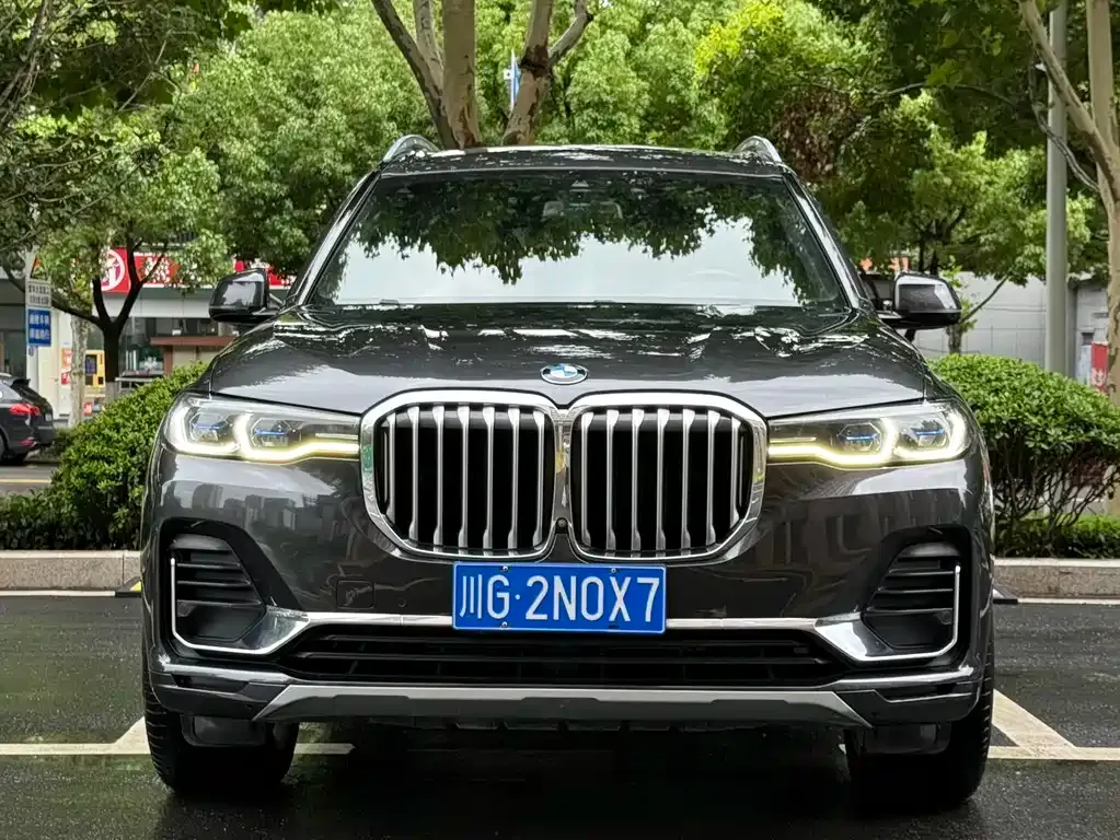 BMW X7 — фото 7