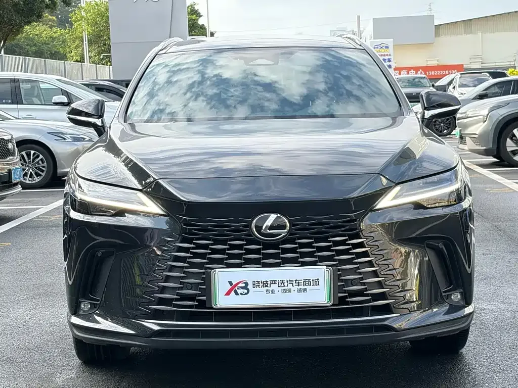 Lexus RX New Energy — фото 4
