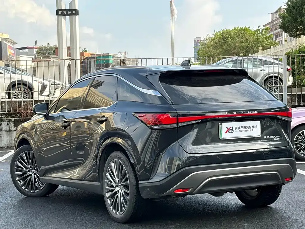 Lexus RX New Energy — фото 7