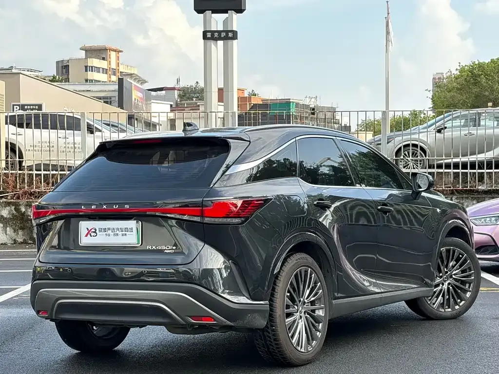 Lexus RX New Energy — фото 10