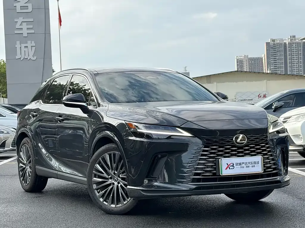 Lexus RX New Energy — фото 8