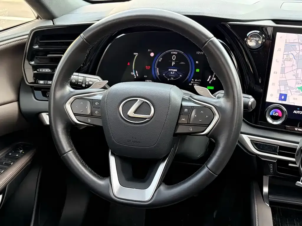 Lexus RX New Energy — фото 6