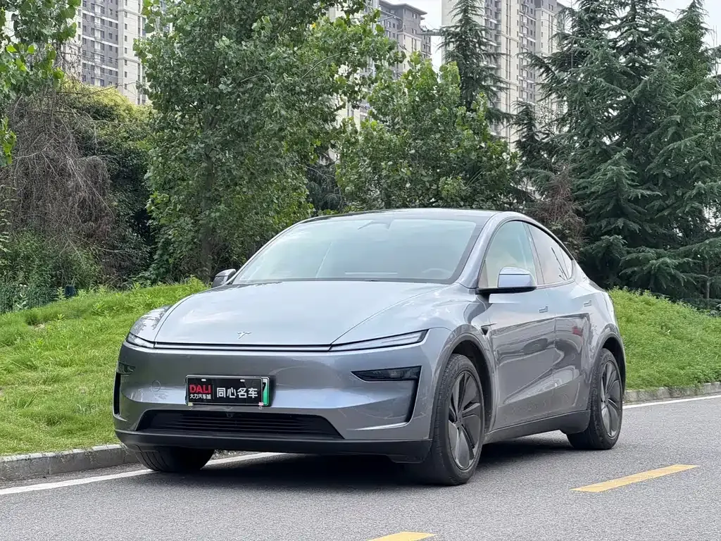 Tesla Model Y — фото 1
