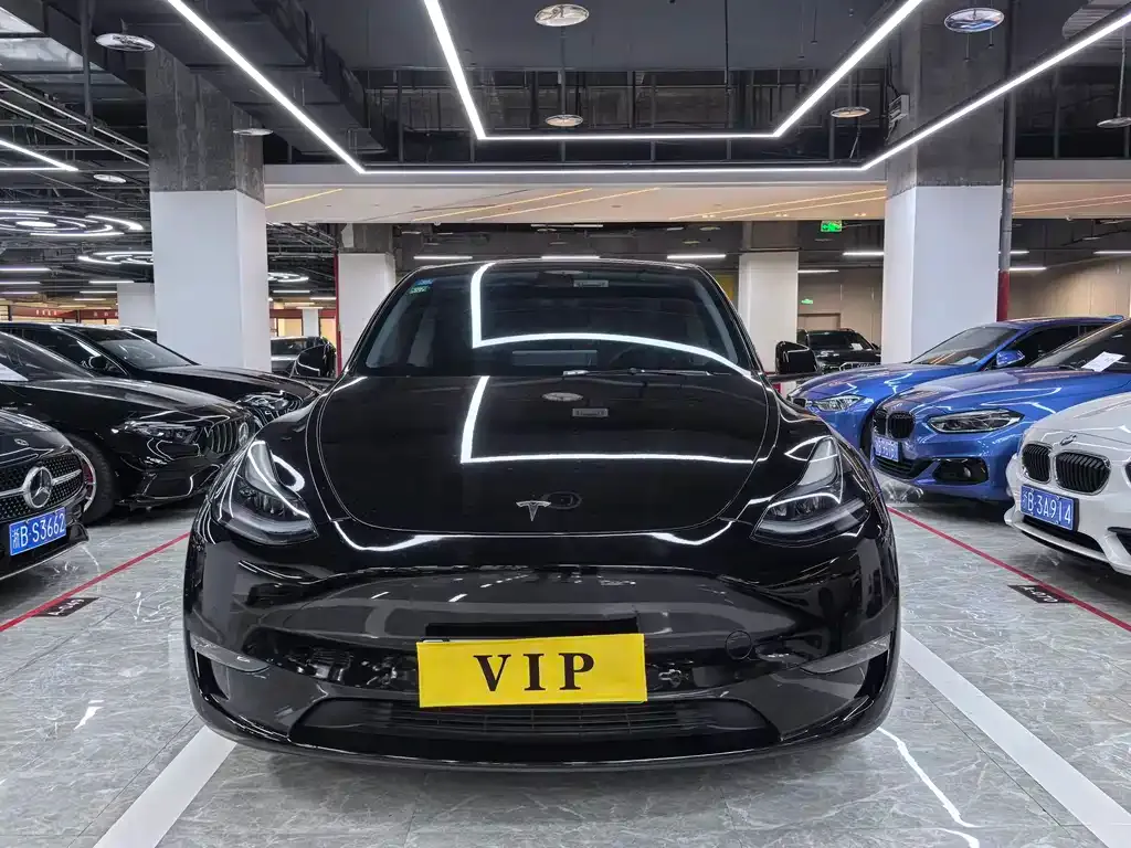 Tesla Model Y — фото 10