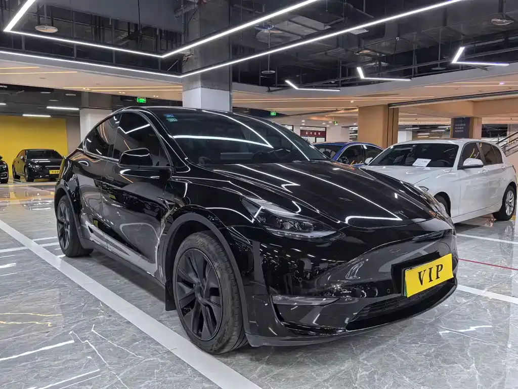Tesla Model Y — фото 5