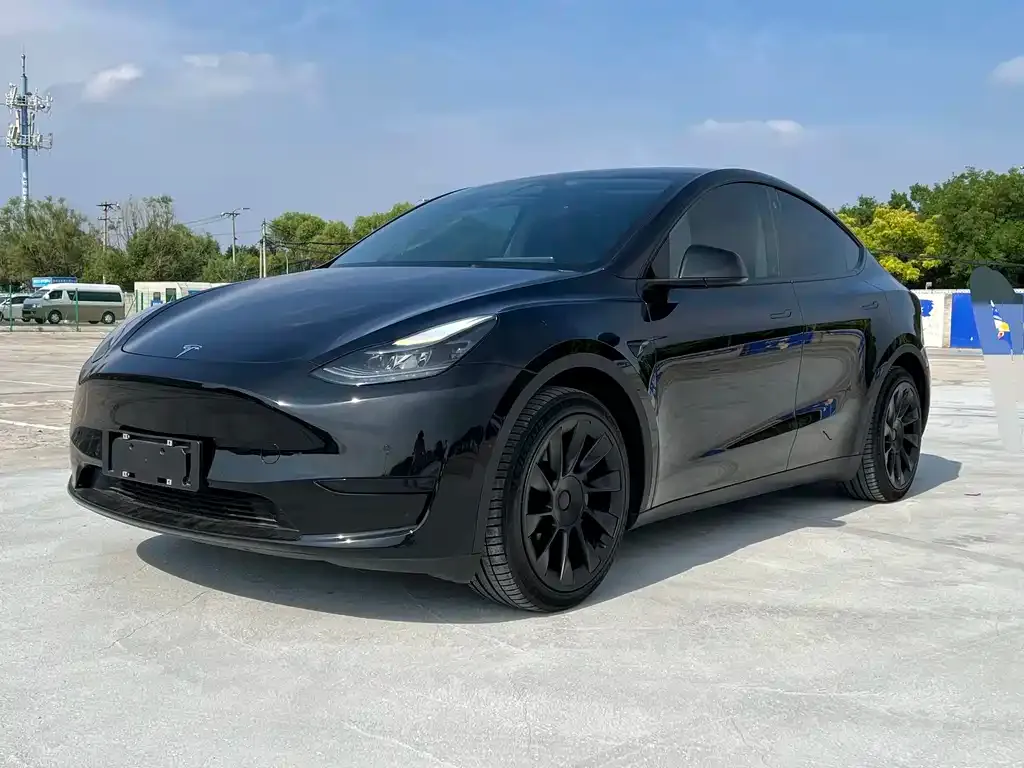 Tesla Model Y — фото 1