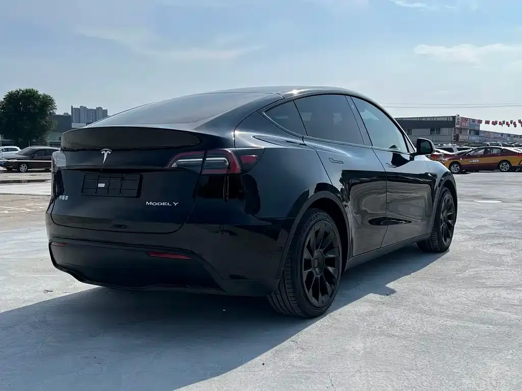 Tesla Model Y — фото 5
