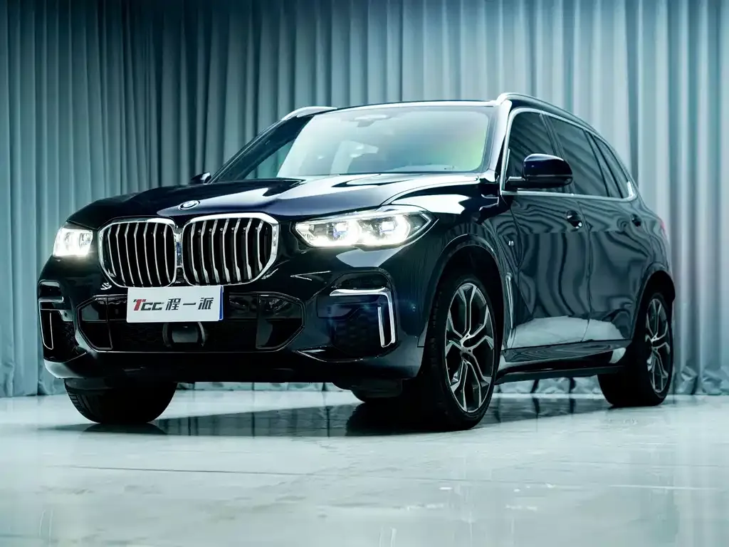BMW X5 — фото 9