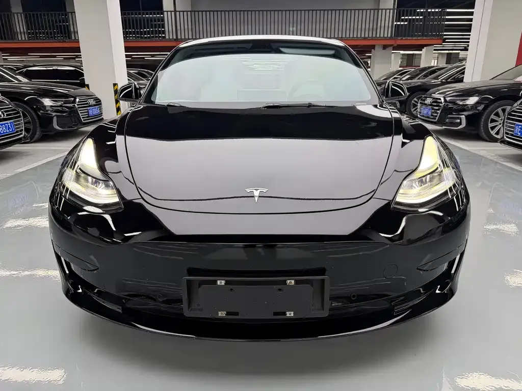 Tesla Model 3 2021 из CN, фото 9