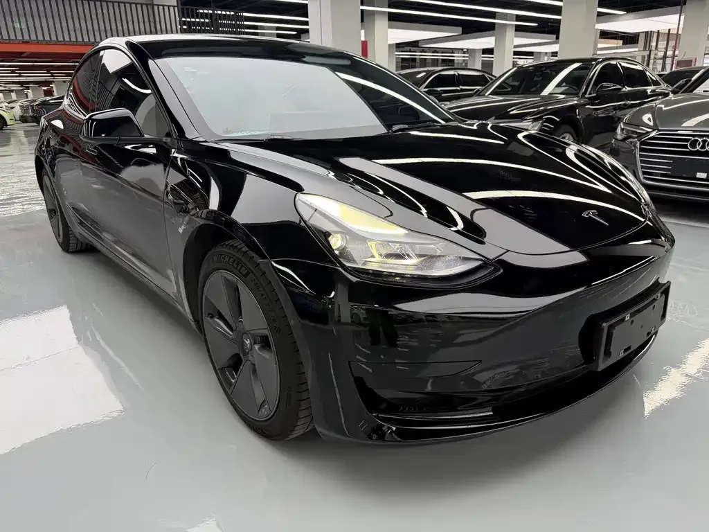 Tesla Model 3 2021 из CN, фото 5