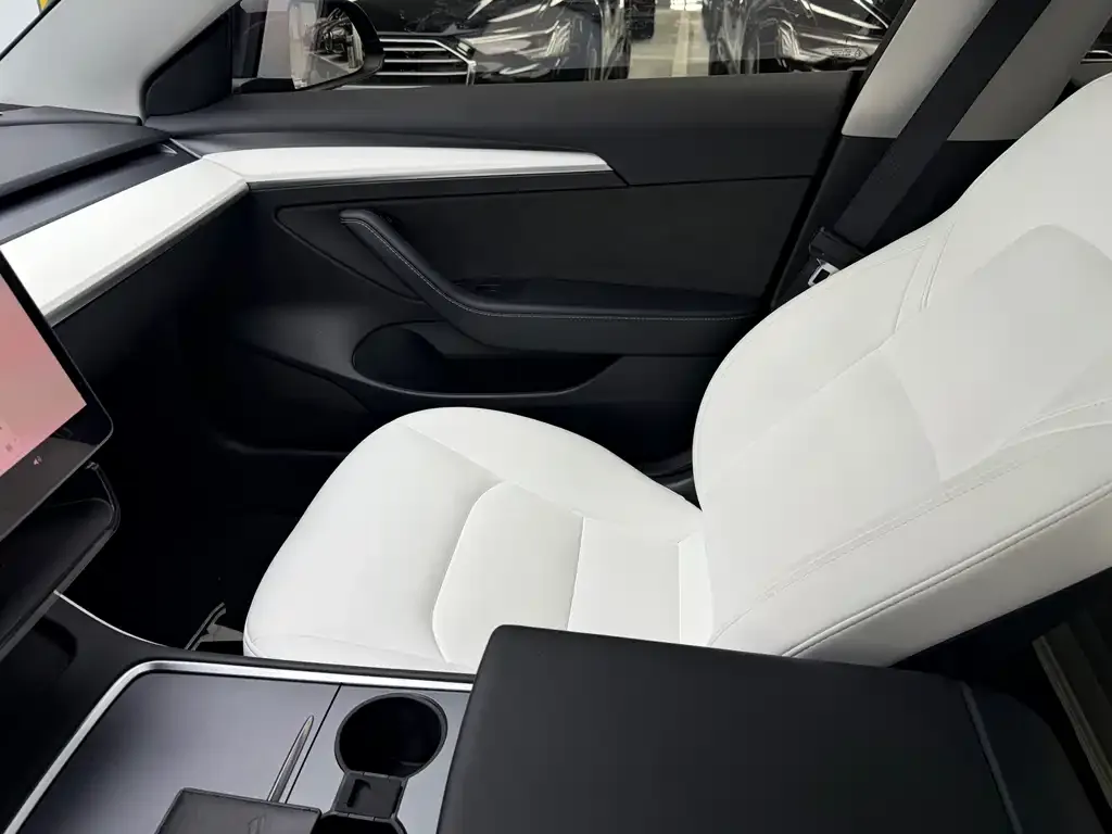 Tesla Model 3 2021 из CN, фото 7