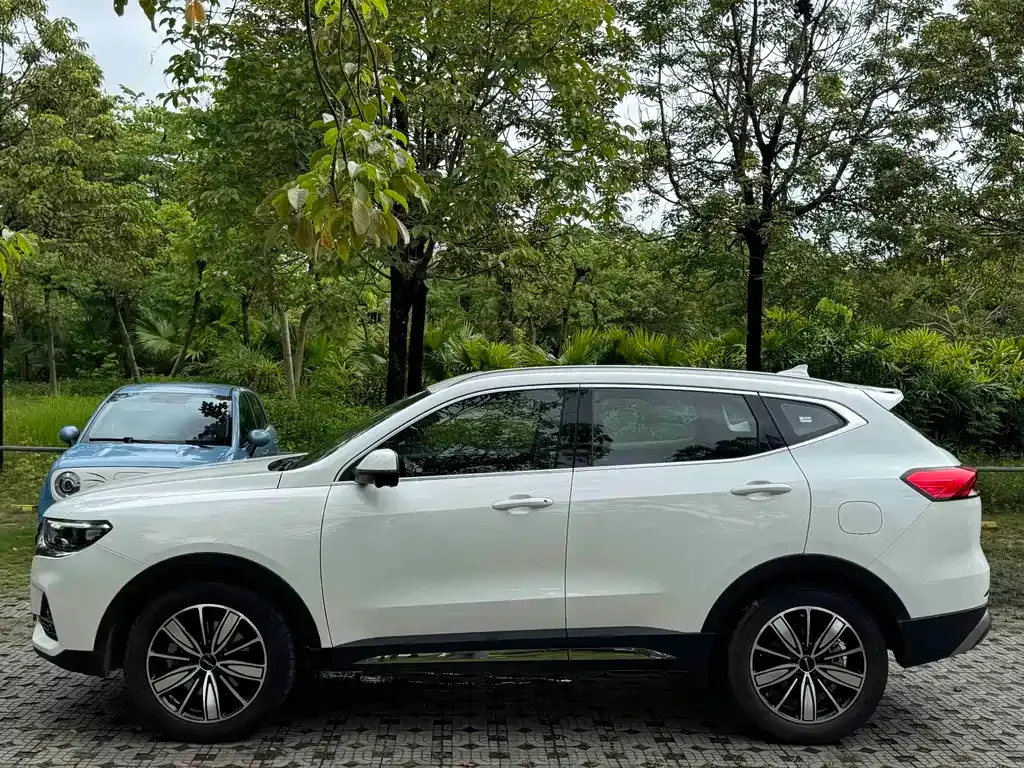Haval H6 — фото 10