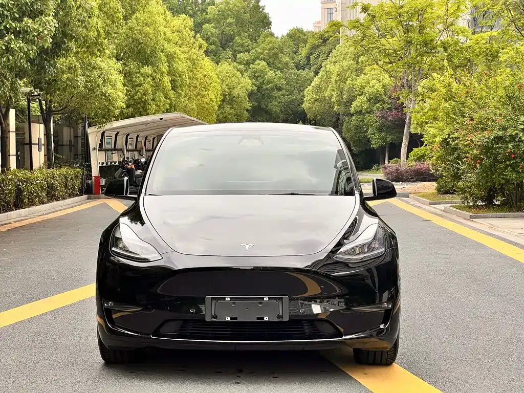 Tesla Model Y — фото 9
