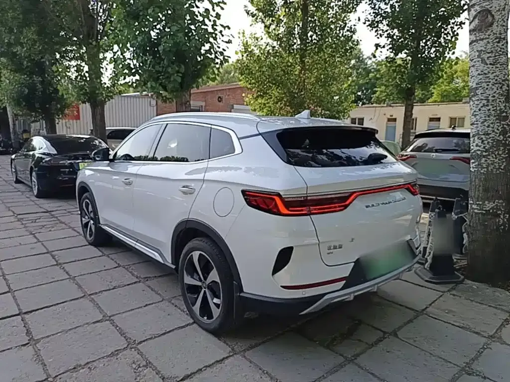 BYD PLUS New Energy — фото 2