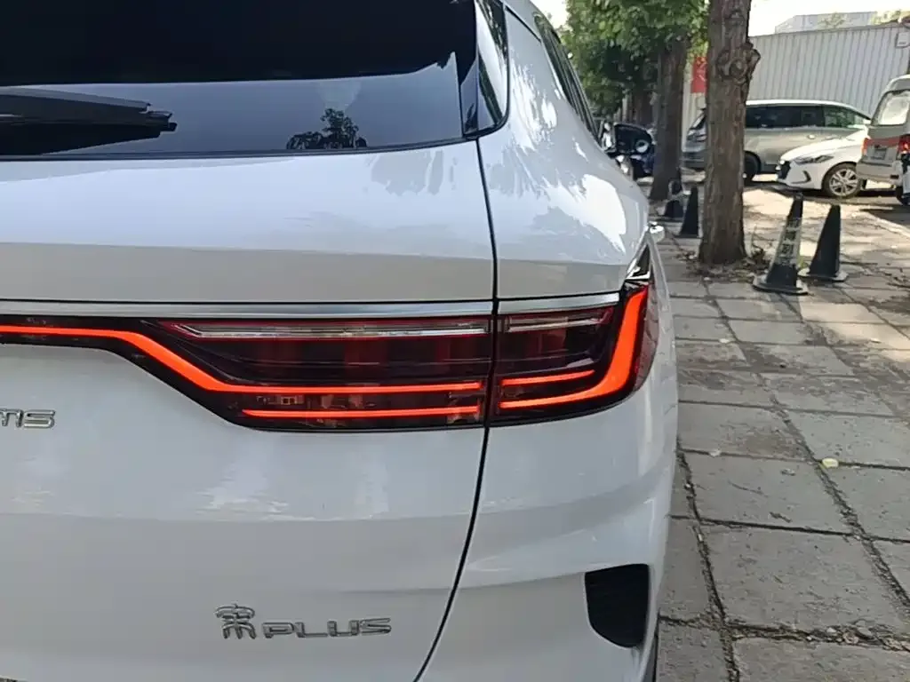 BYD PLUS New Energy — фото 4