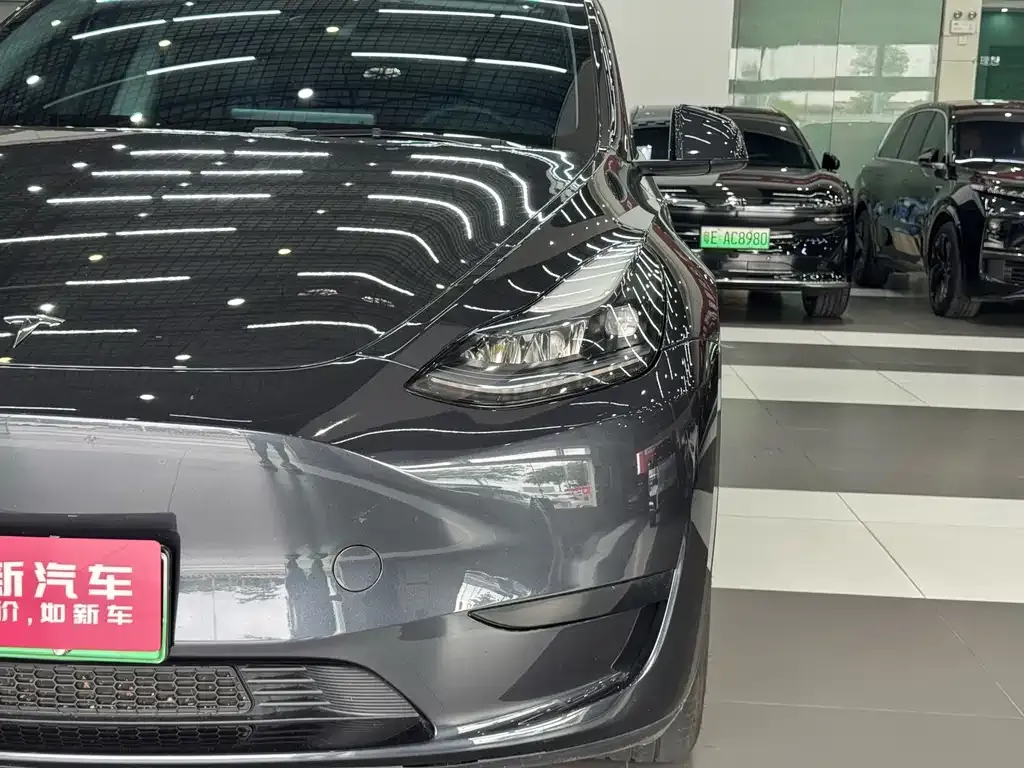 Tesla Model Y — фото 2
