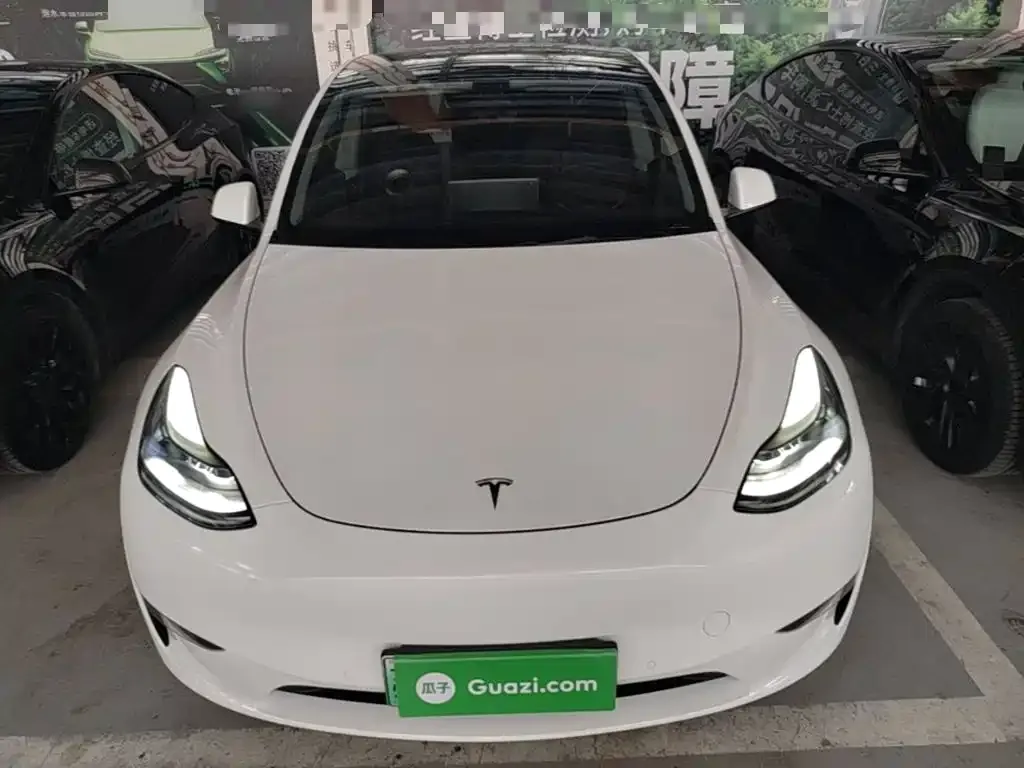 Tesla Model Y — фото 2