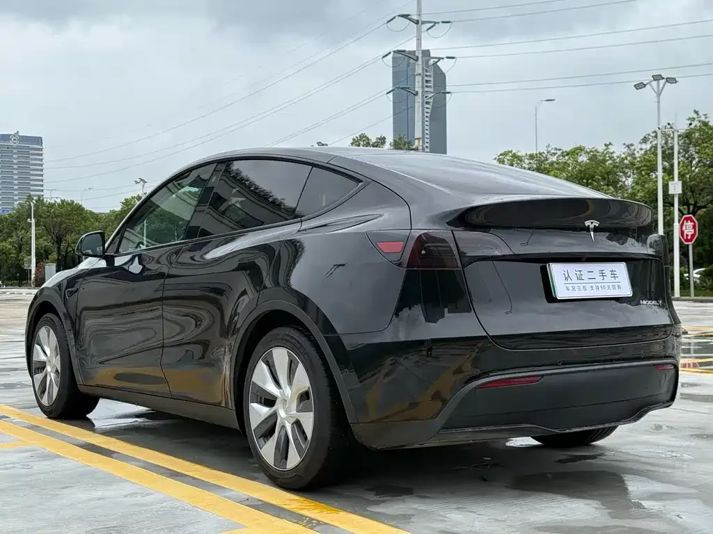 Tesla Model Y — фото 3