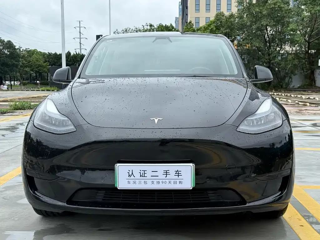 Tesla Model Y — фото 5