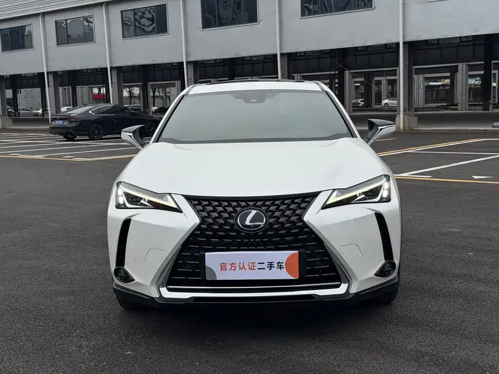 Lexus UX New Energy — фото 8