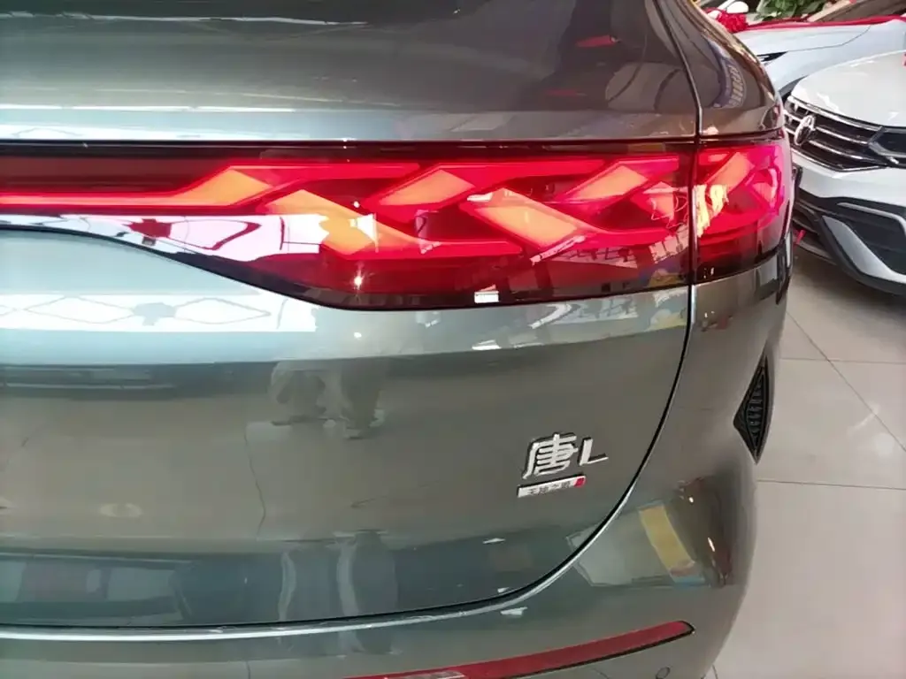 BYD Tang L — фото 2