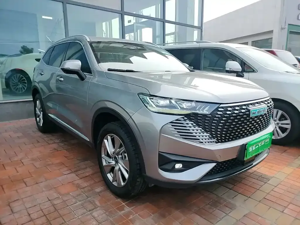 Haval H6 New Energy — фото 10