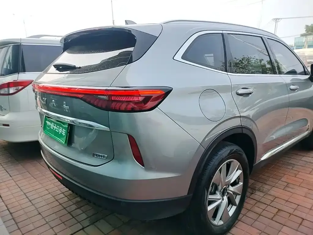 Haval H6 New Energy — фото 9