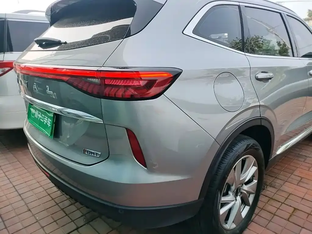 Haval H6 New Energy — фото 5