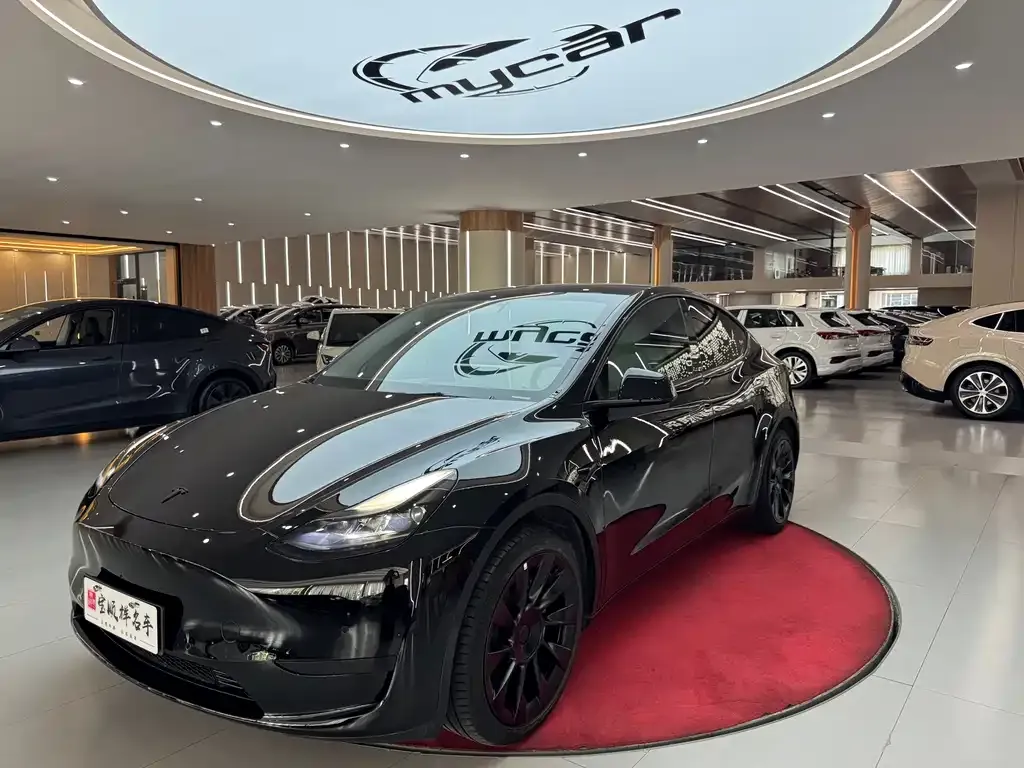 Tesla Model Y — фото 1
