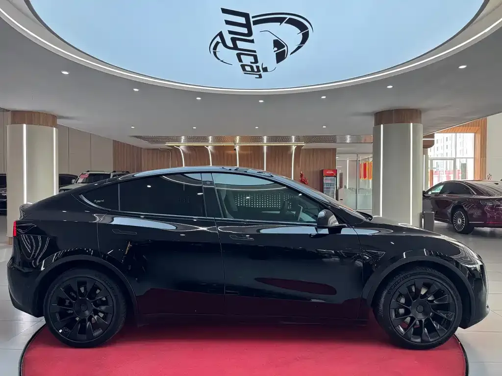 Tesla Model Y — фото 4
