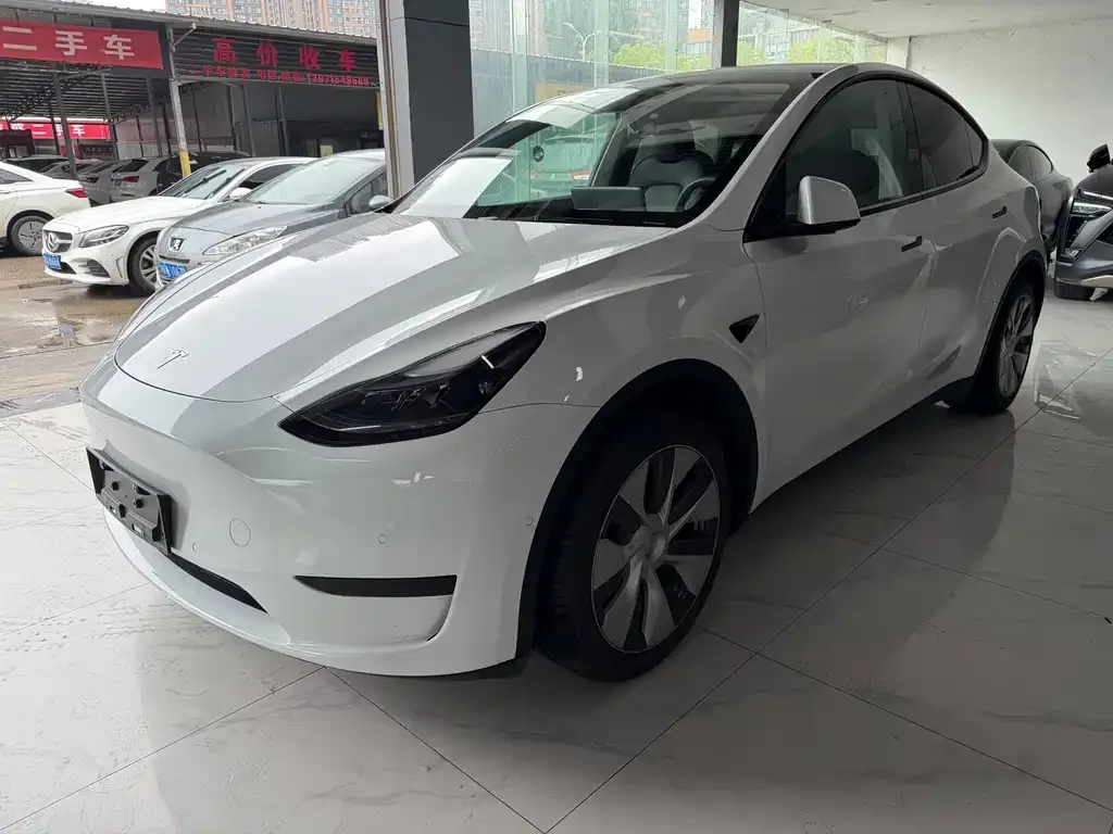 Tesla Model Y — фото 1