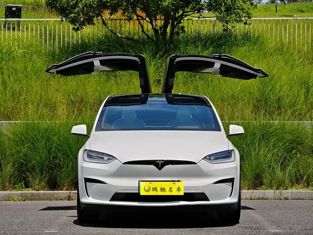 Tesla Model X — фото 1