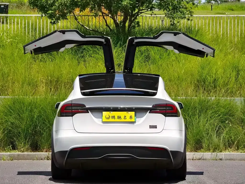 Tesla Model X — фото 8