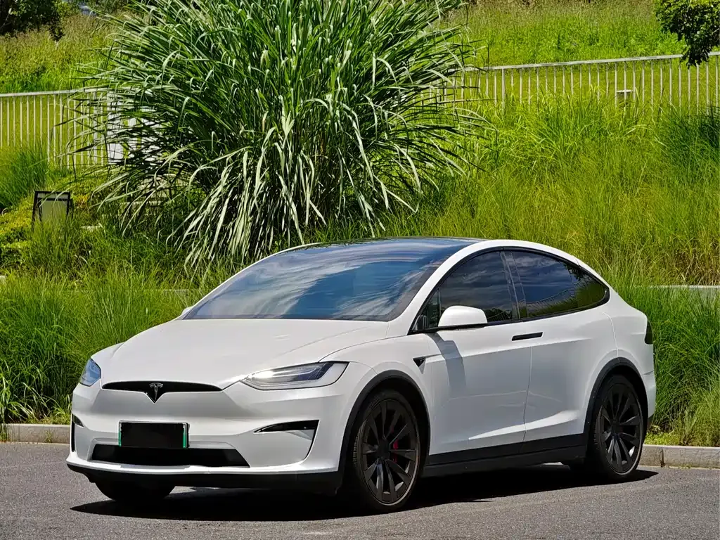 Tesla Model X — фото 10