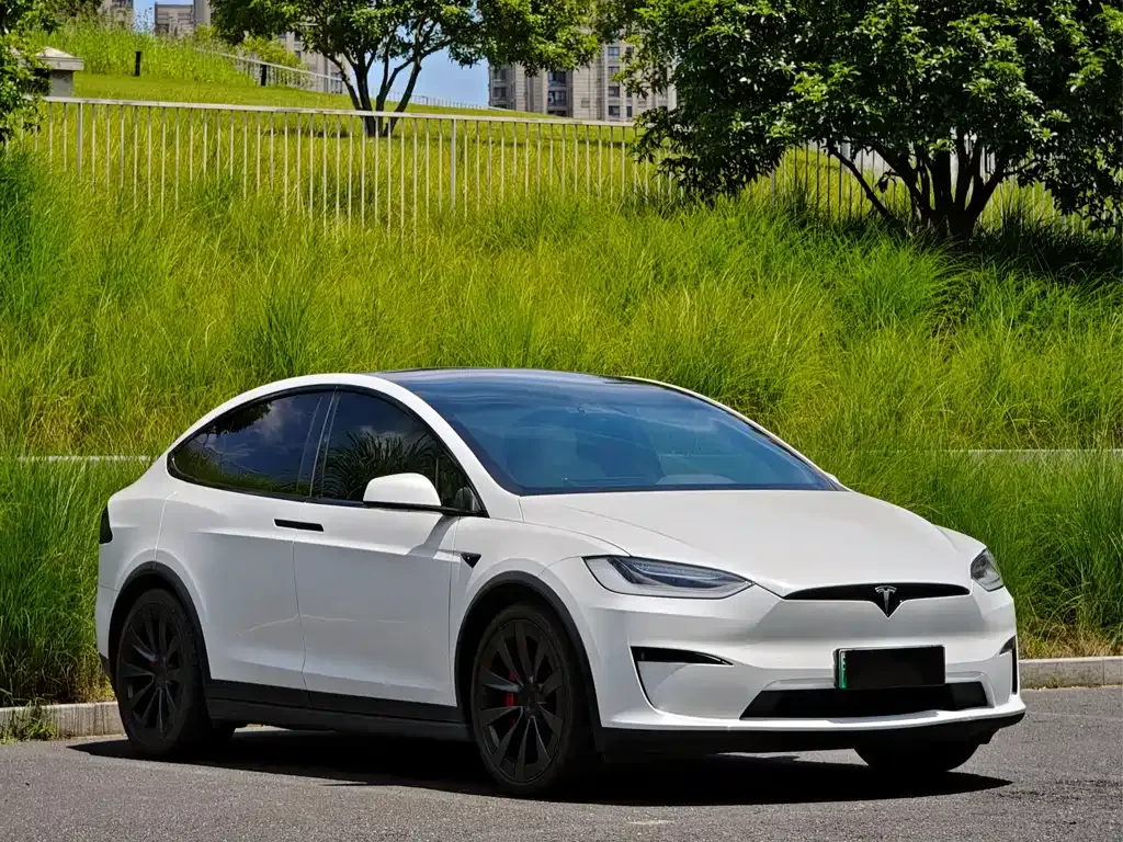 Tesla Model X — фото 9